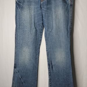 Women's Express Denim Laboratory brand X2 jeans